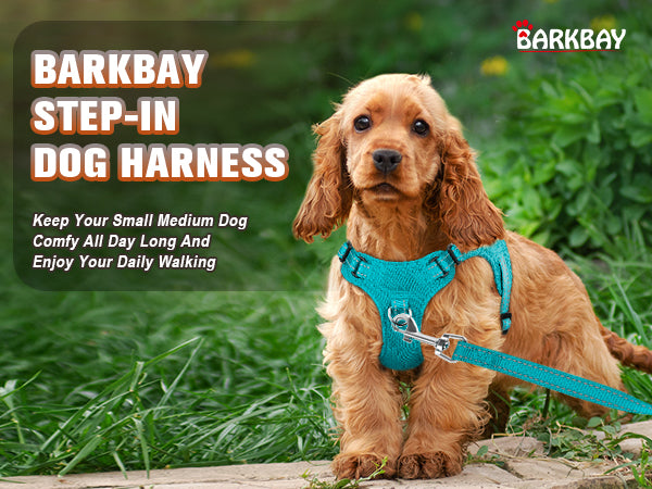 BARKBAY PET