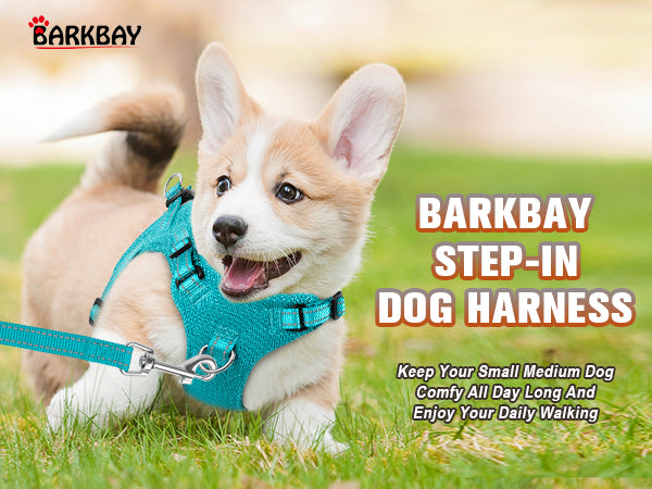 BARKBAY PET