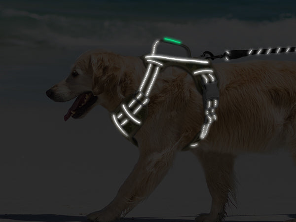 BARKBAY PET