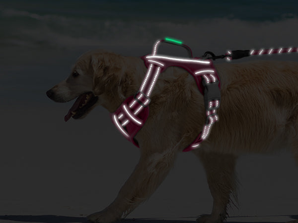 BARKBAY PET