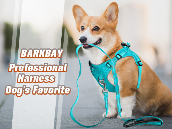 BARKBAY PET