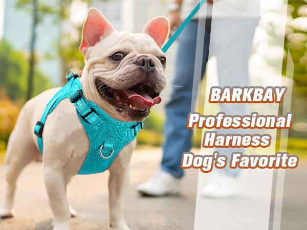 BARKBAY PET