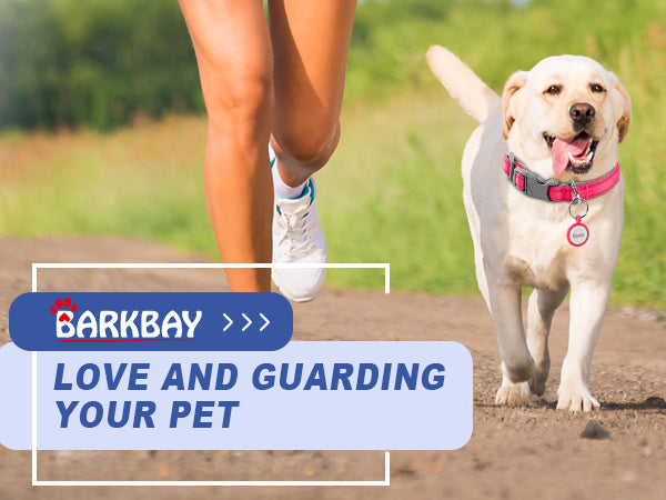 BARKBAY PET