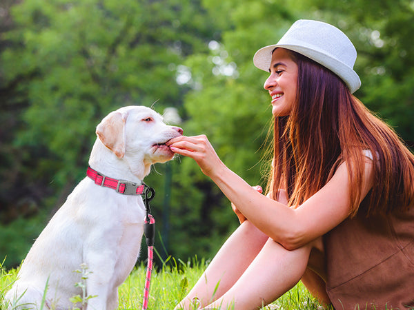 BARKBAY PET