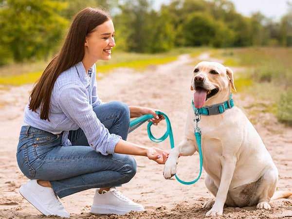 BARKBAY PET