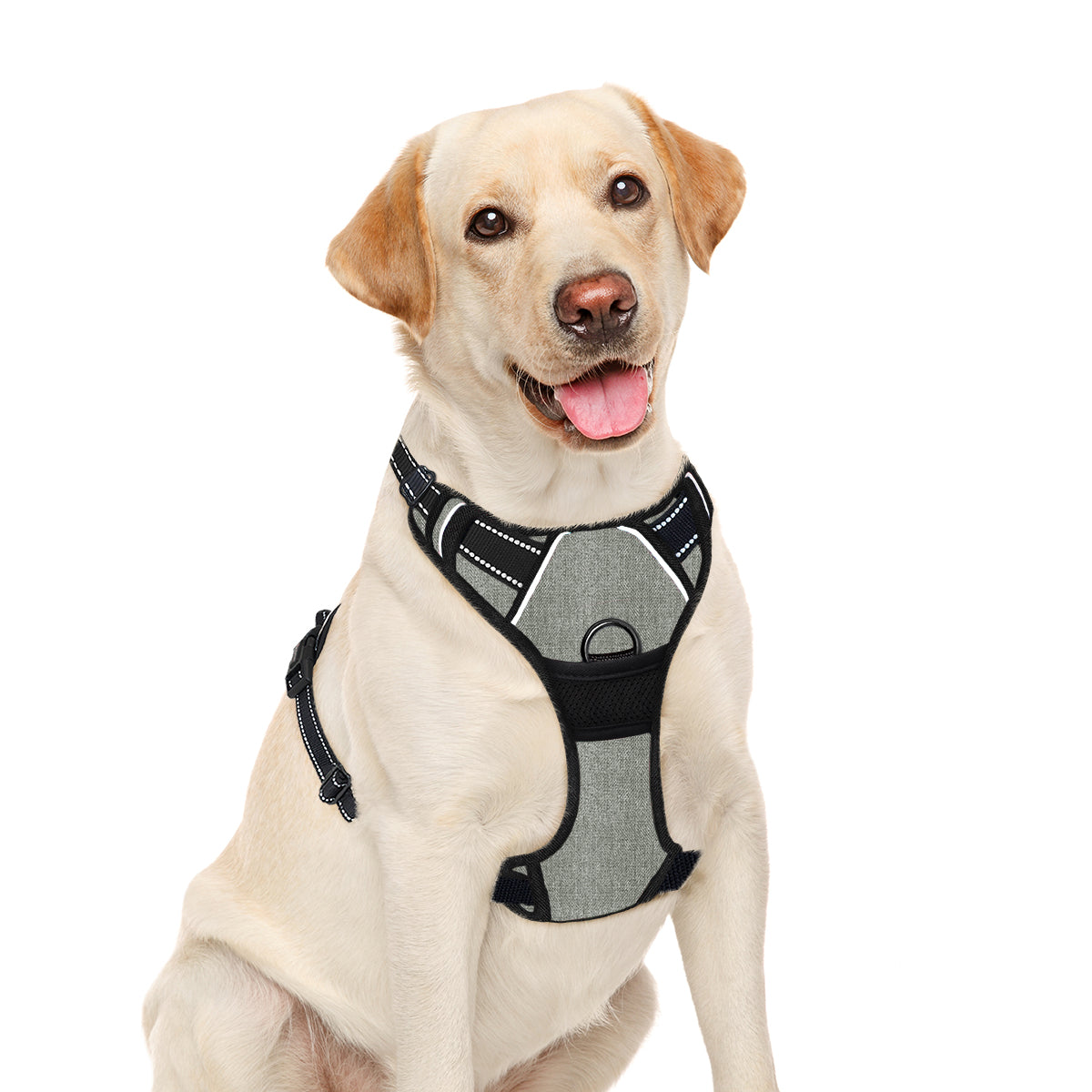 NoPull Adventure Dog Harness