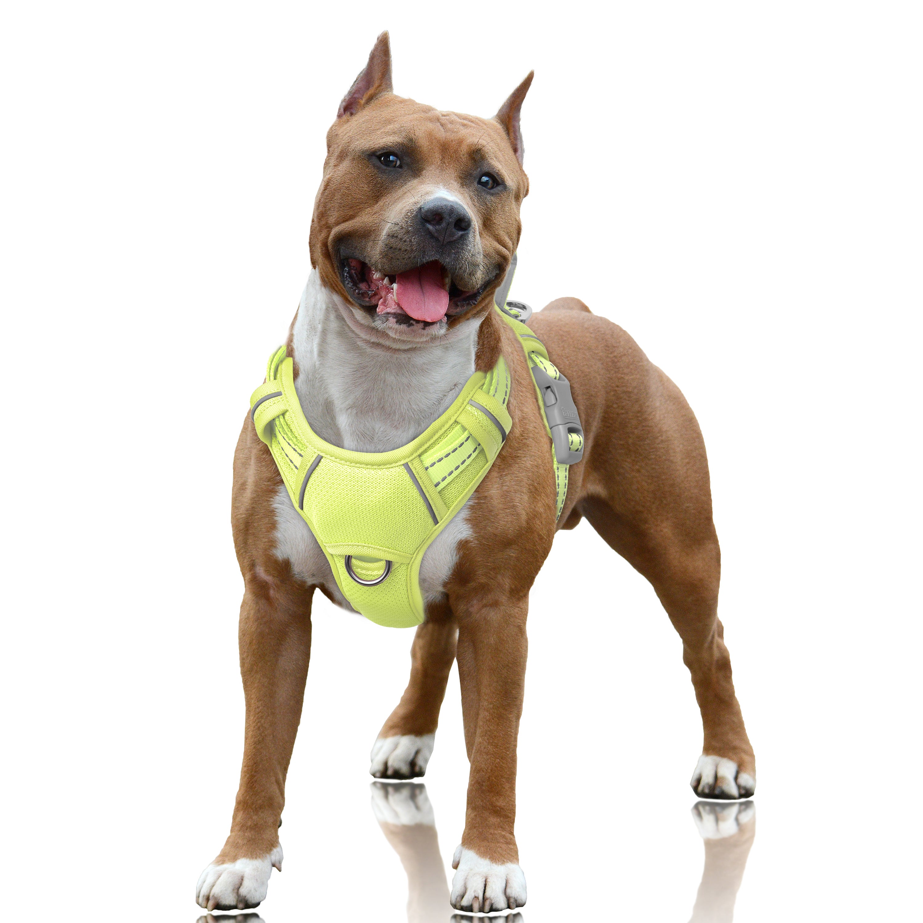 Air No Pull Dog Harness