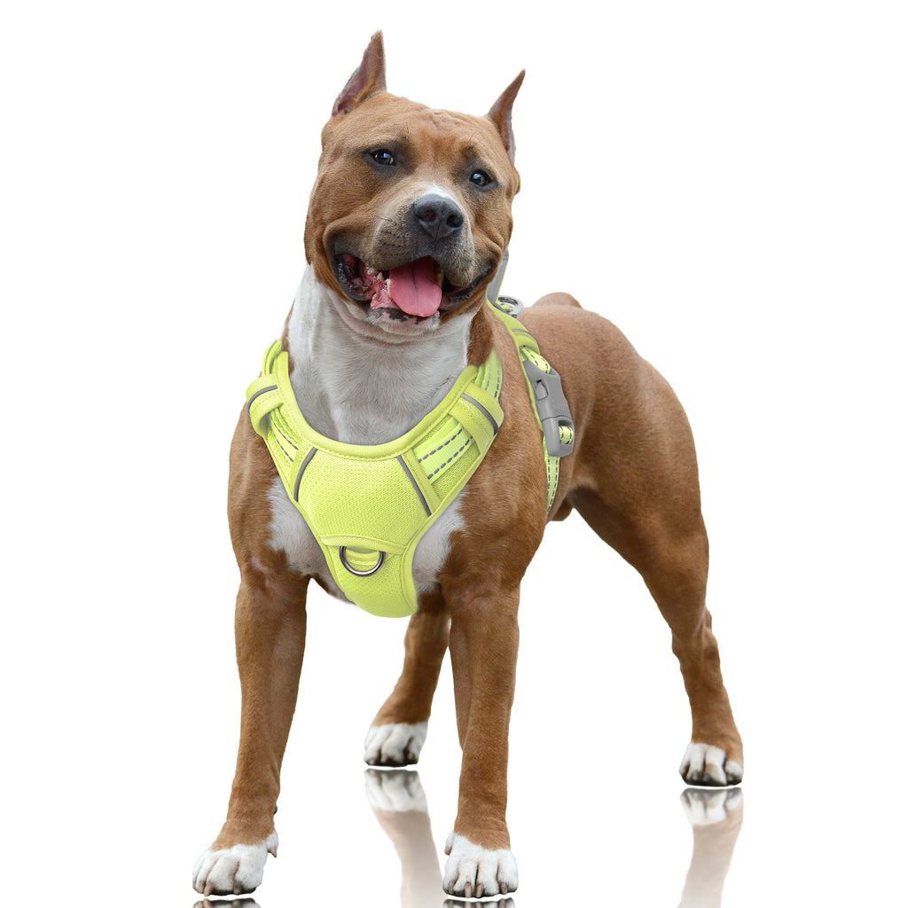Air No Pull Dog Harness