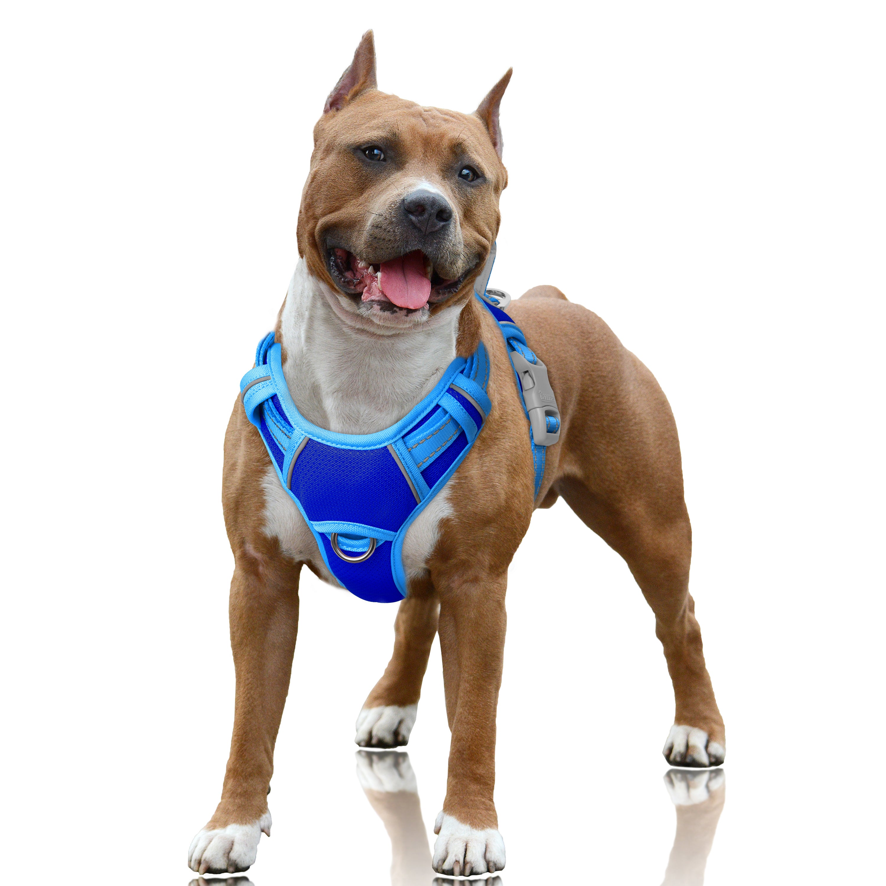 Air No Pull Dog Harness