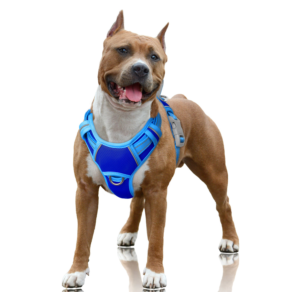 Air No Pull Dog Harness
