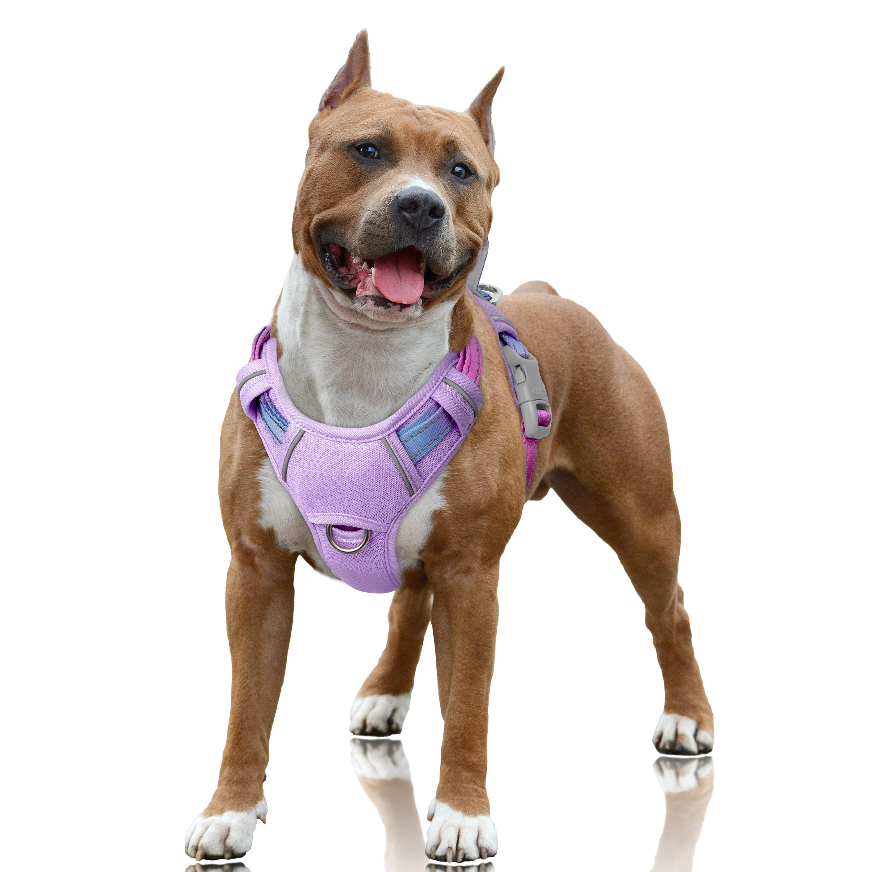 Air No Pull Dog Harness