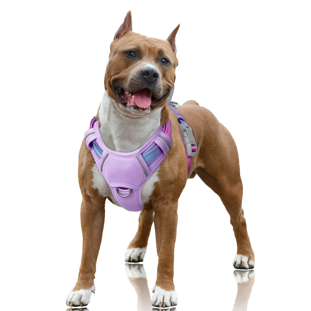 Air No Pull Dog Harness