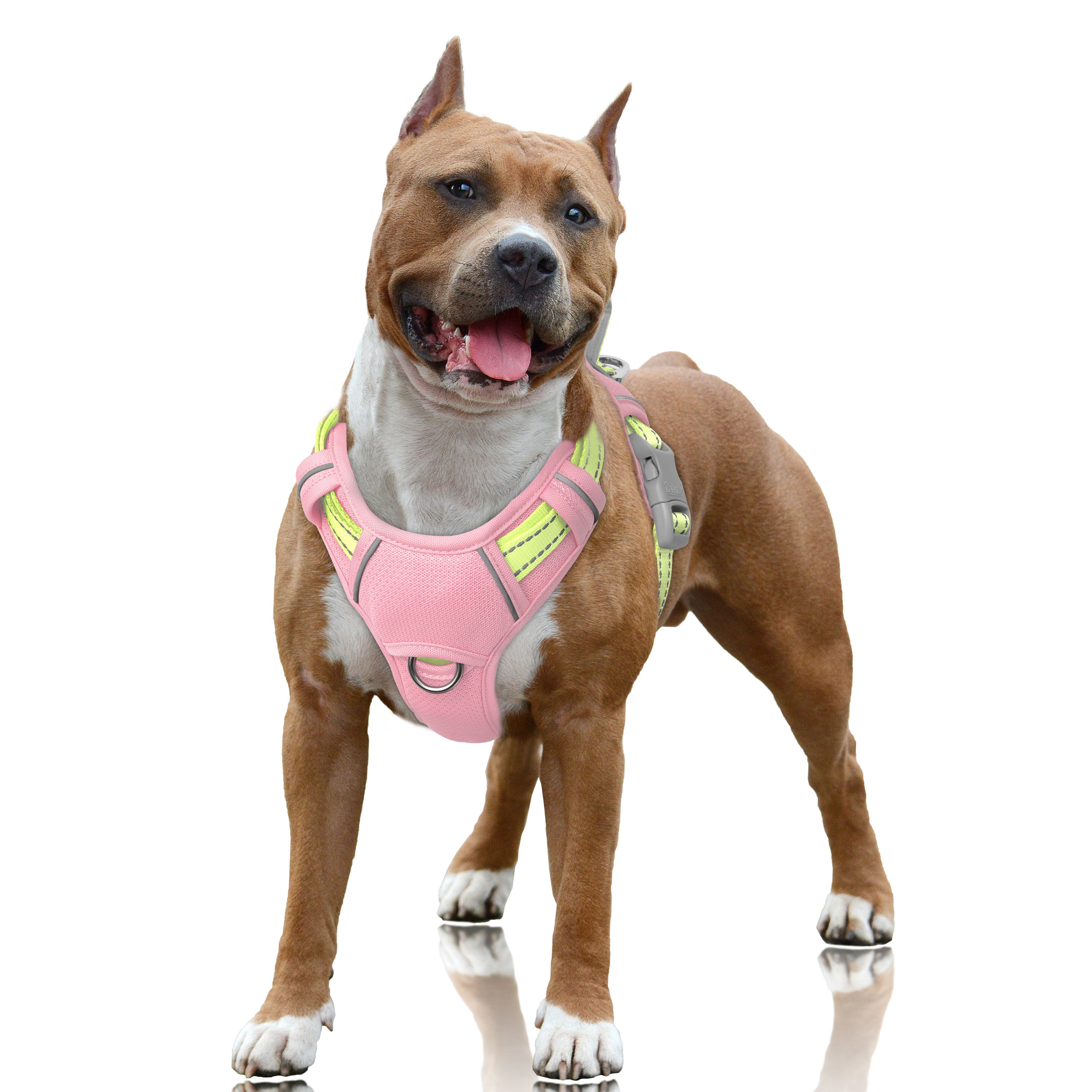 Air No Pull Dog Harness