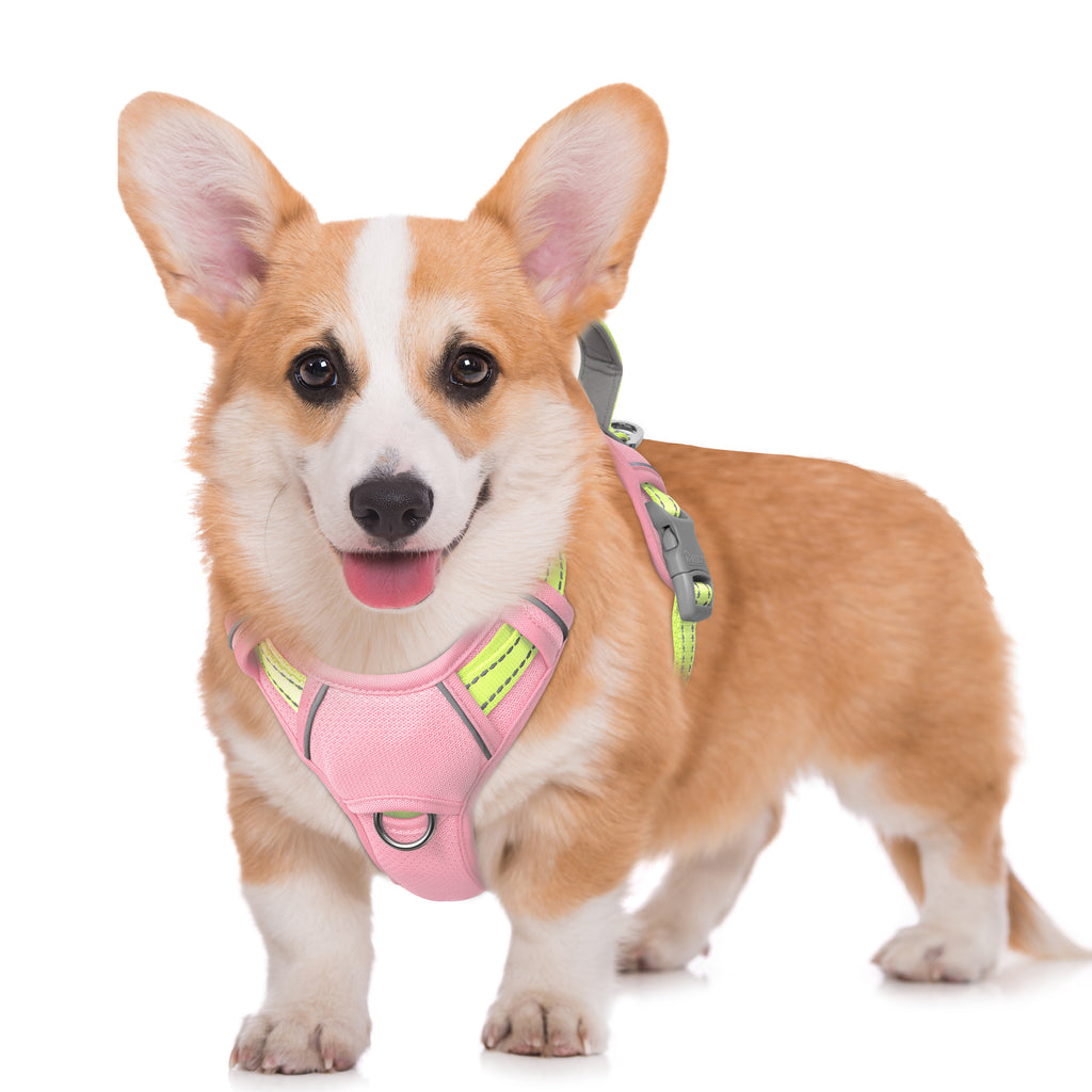 Air No Pull Dog Harness