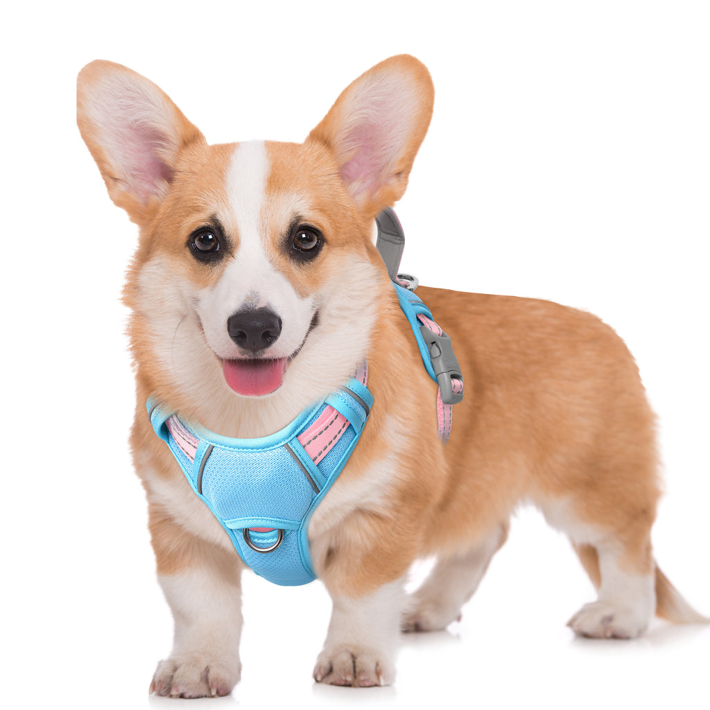 Air No Pull Dog Harness