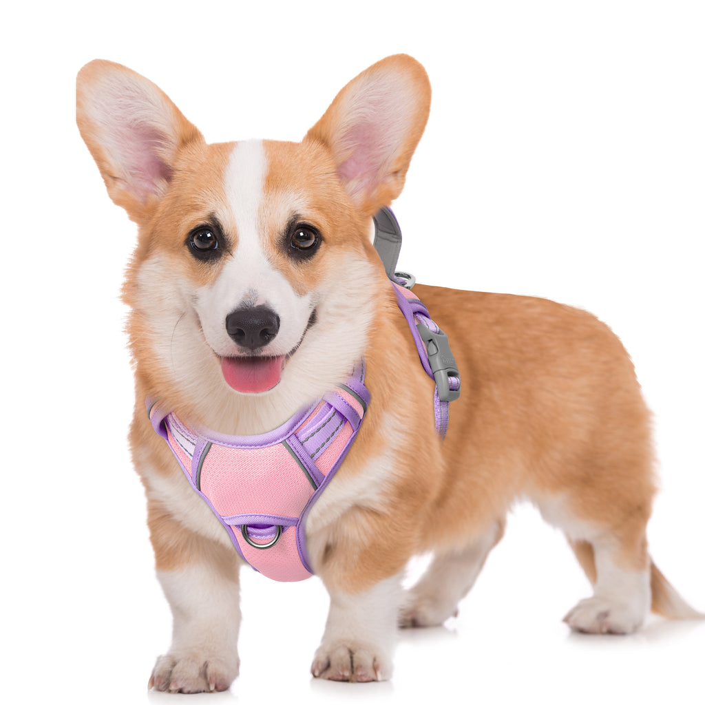 Air No Pull Dog Harness