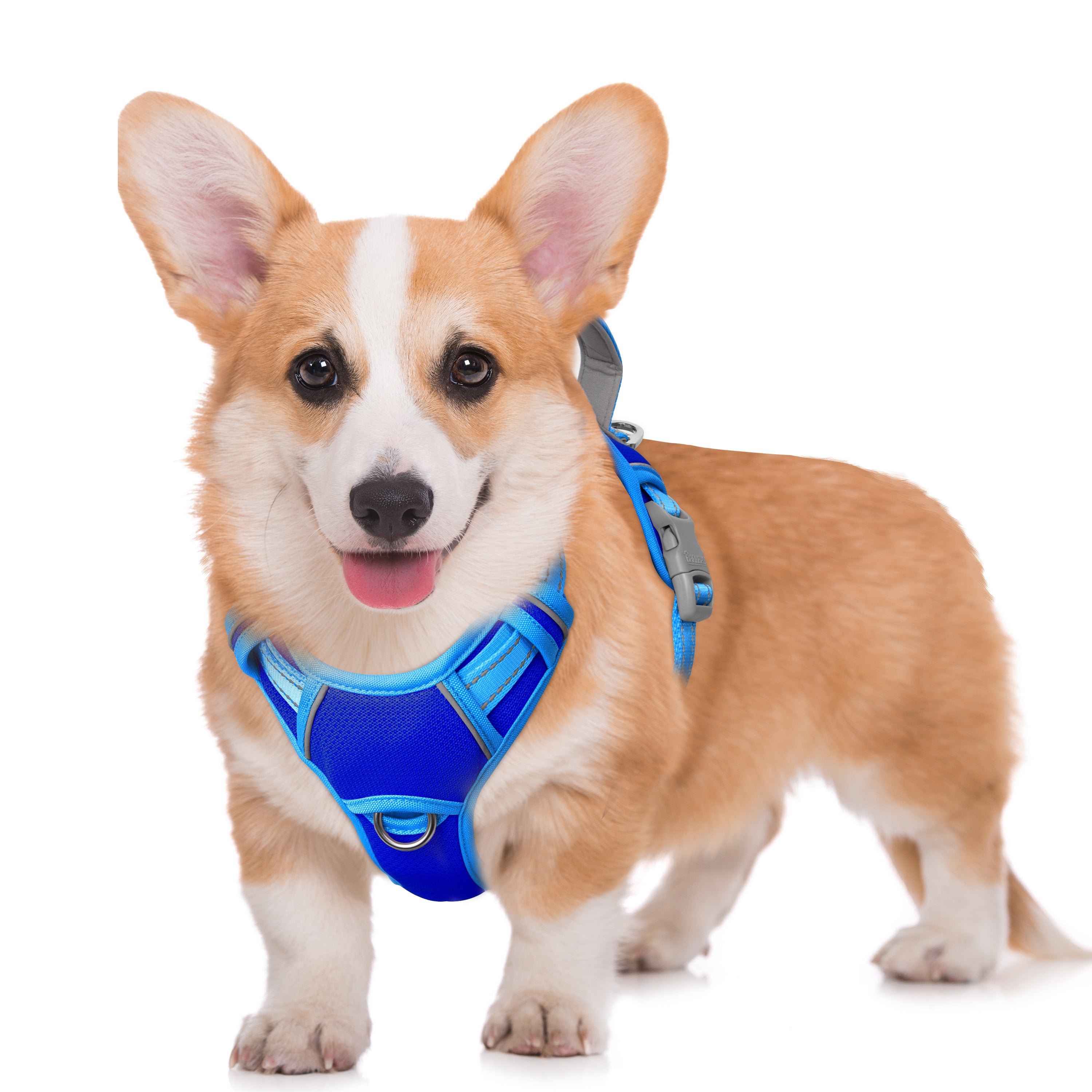 Air No Pull Dog Harness