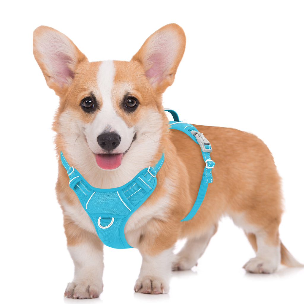 Air No Pull Dog Harness