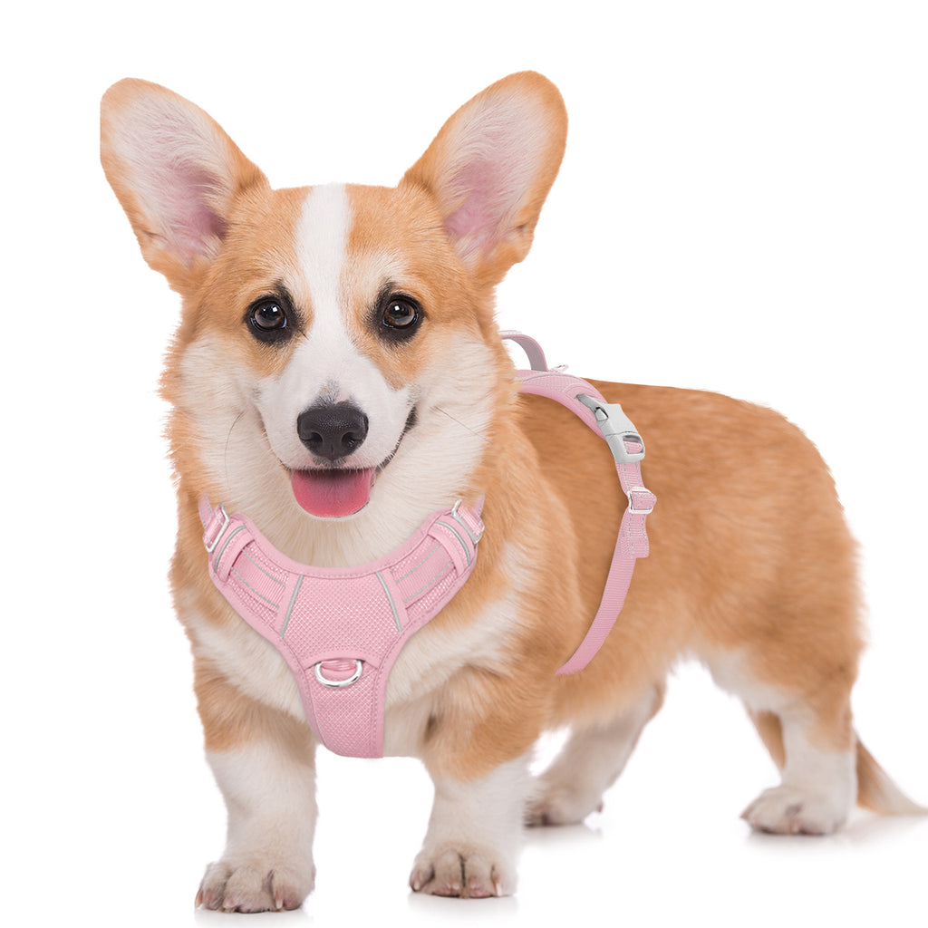 Air No Pull Dog Harness