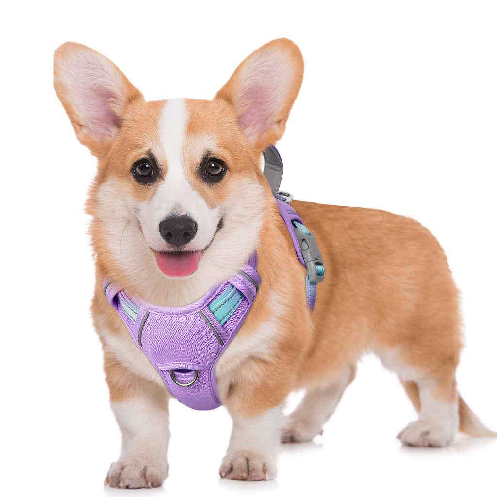Air No Pull Dog Harness