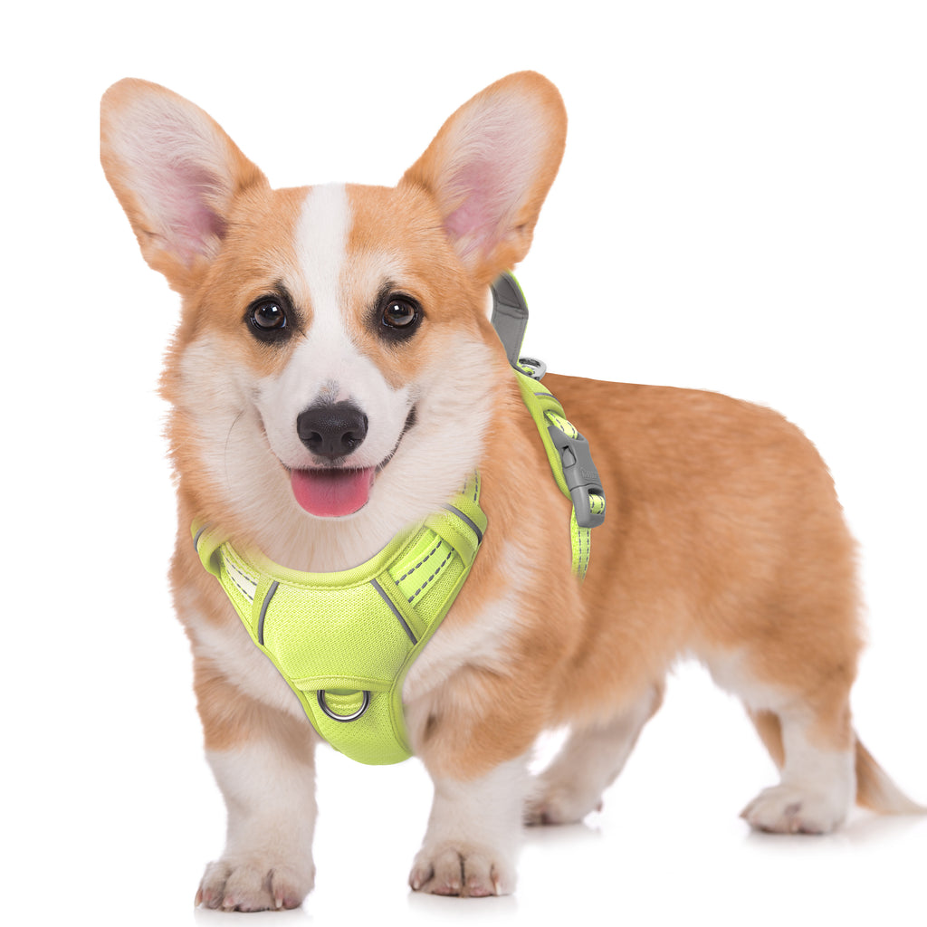 Air No Pull Dog Harness