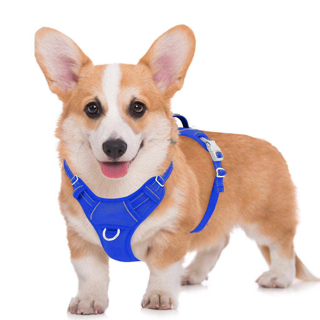 Air No Pull Dog Harness