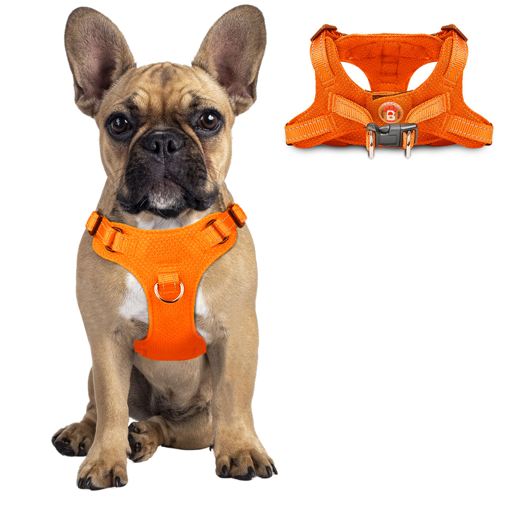 Step-in Mesh Dog Harness