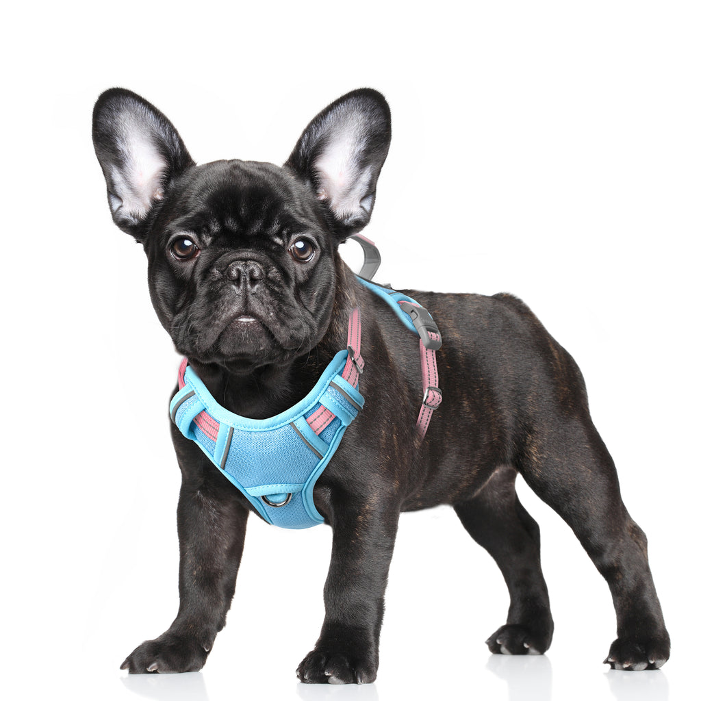 Air No Pull Dog Harness