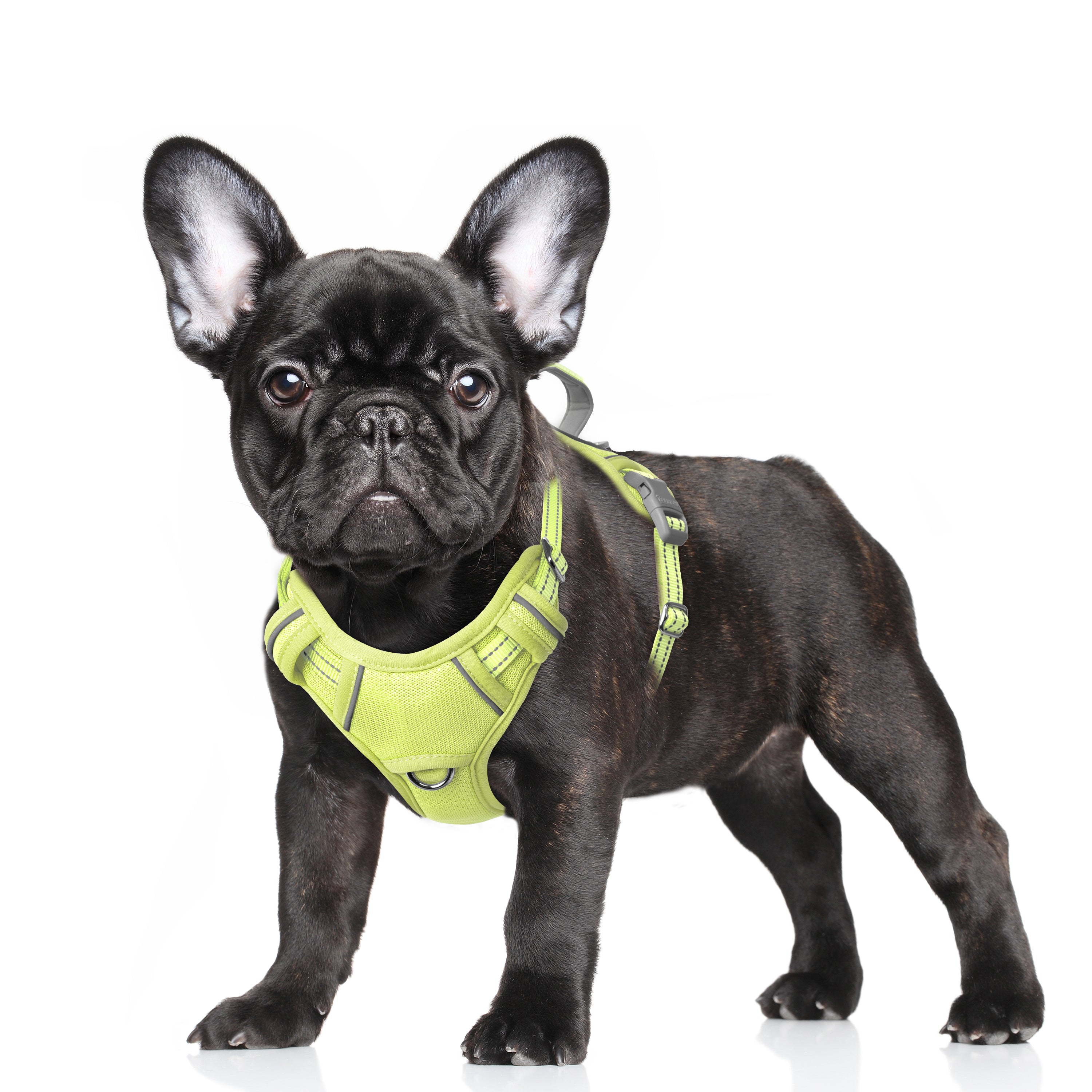 Air No Pull Dog Harness