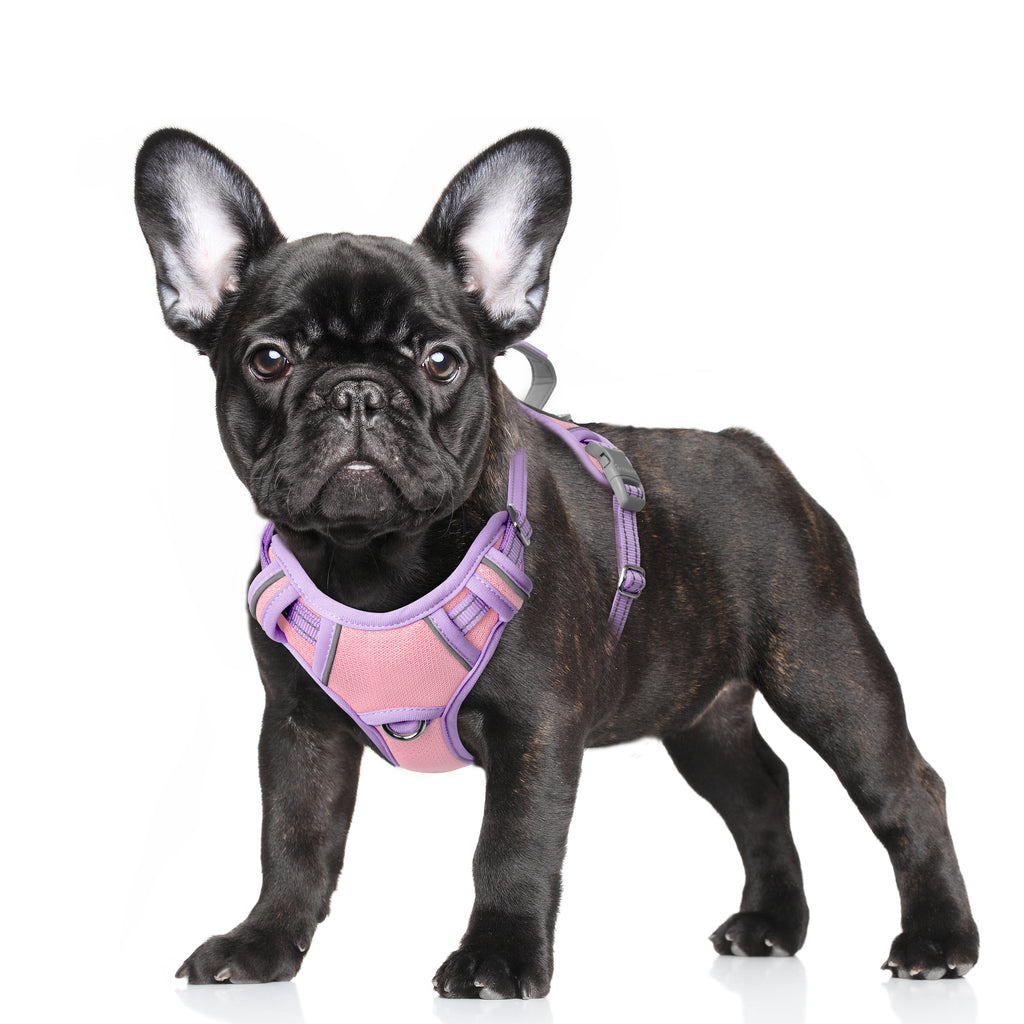 Air No Pull Dog Harness