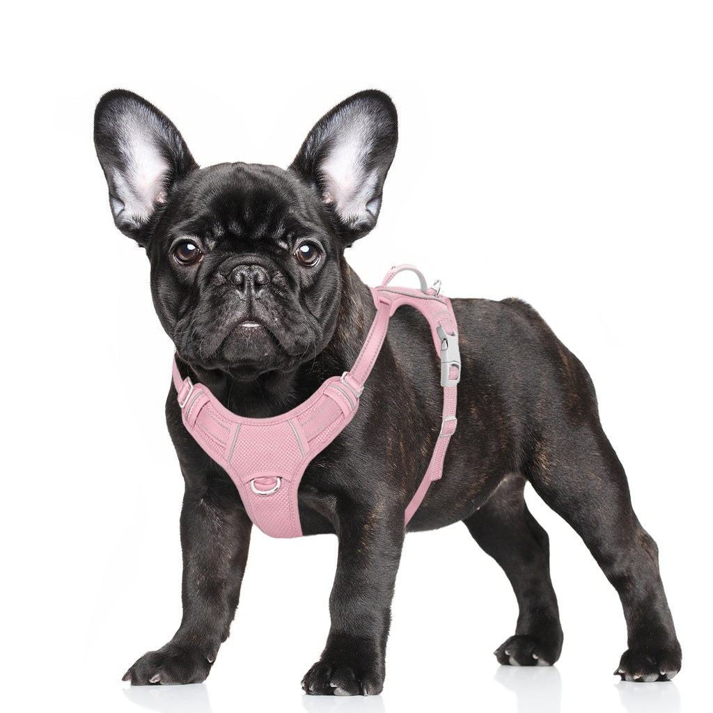 Air No Pull Dog Harness