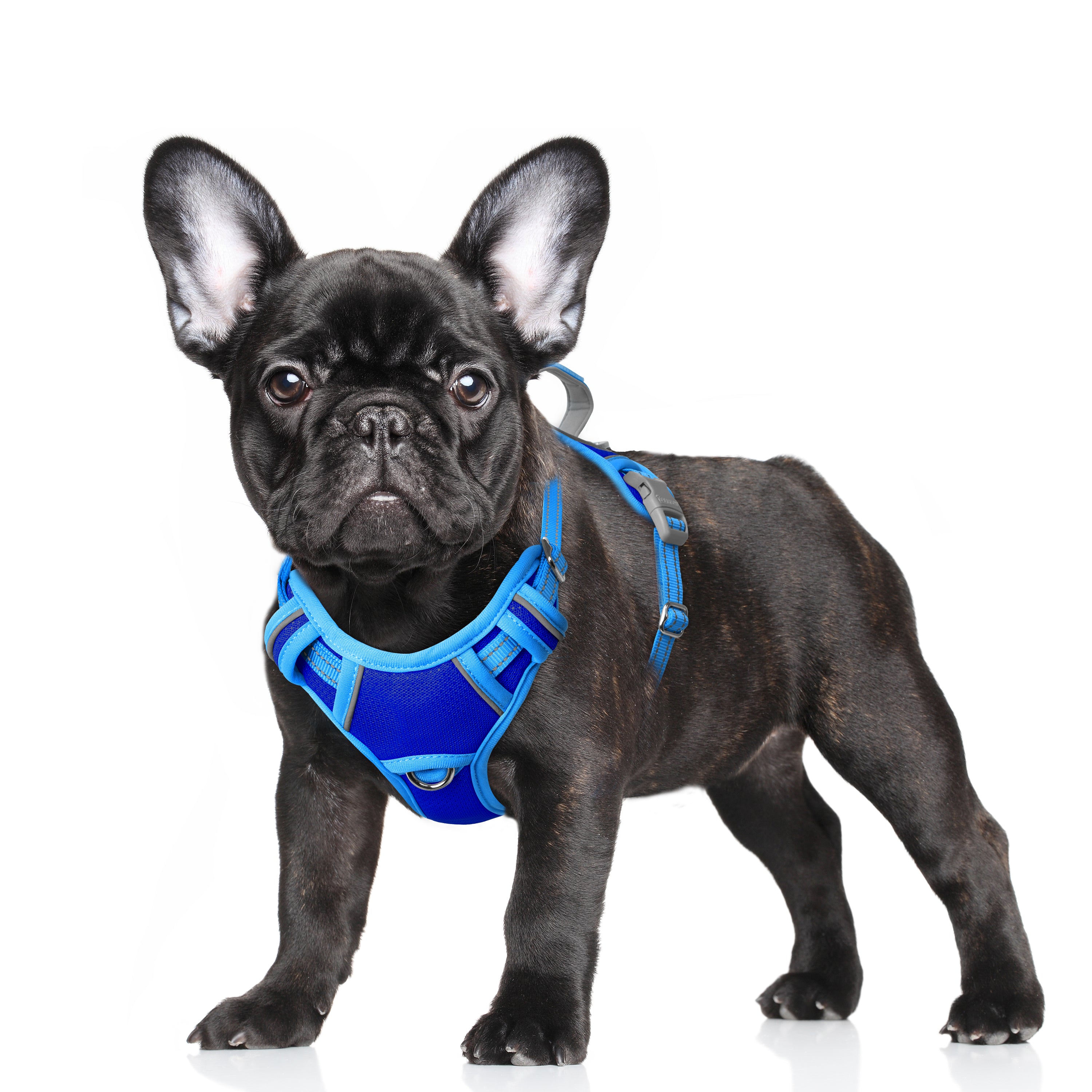 Air No Pull Dog Harness