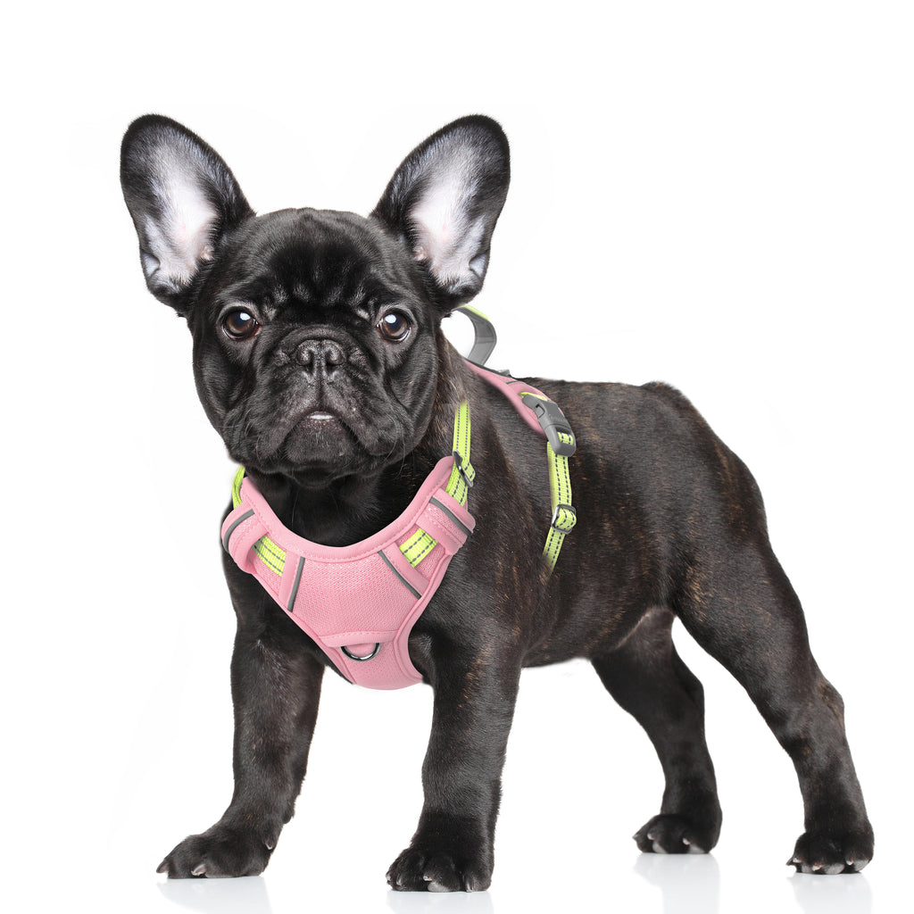Air No Pull Dog Harness