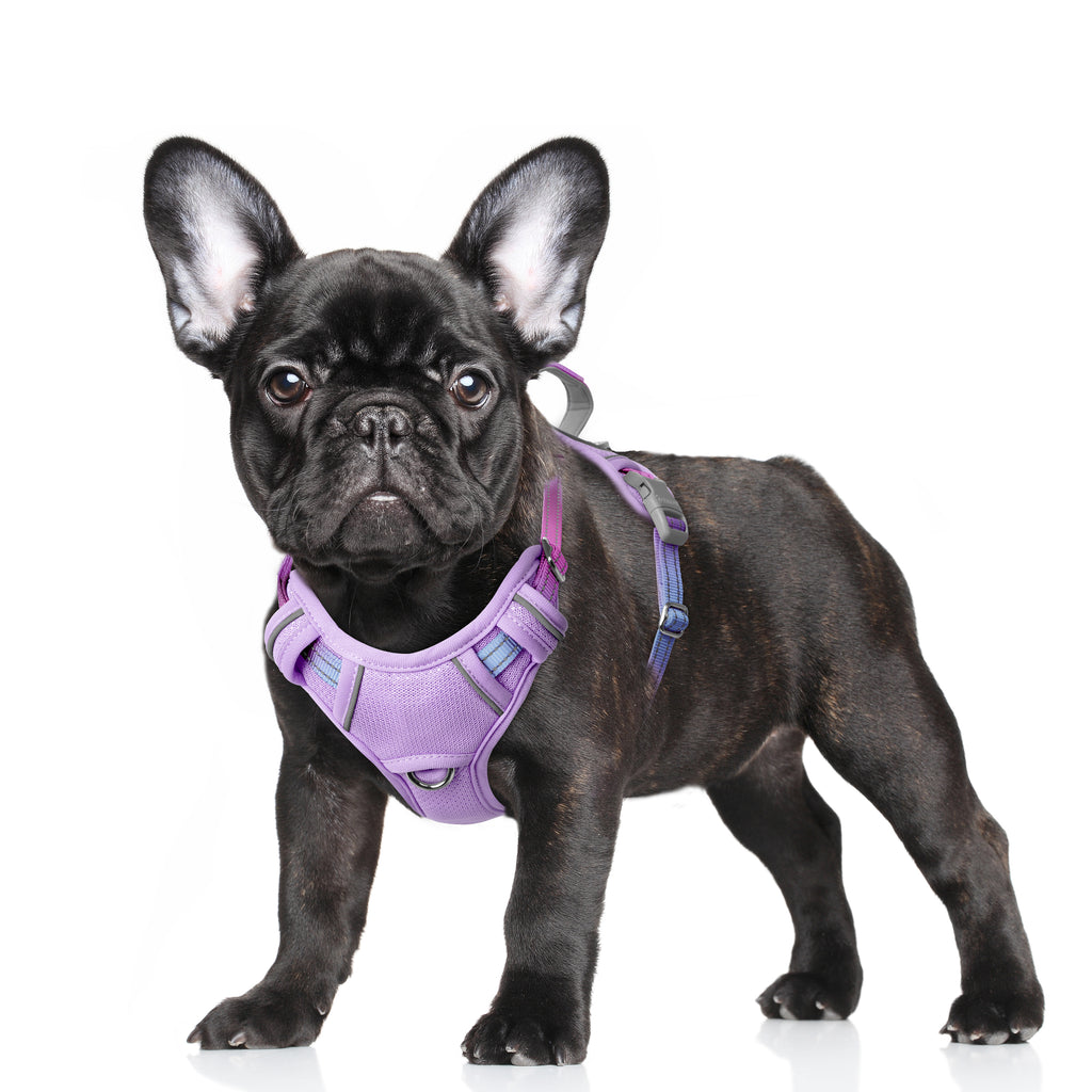 Air No Pull Dog Harness