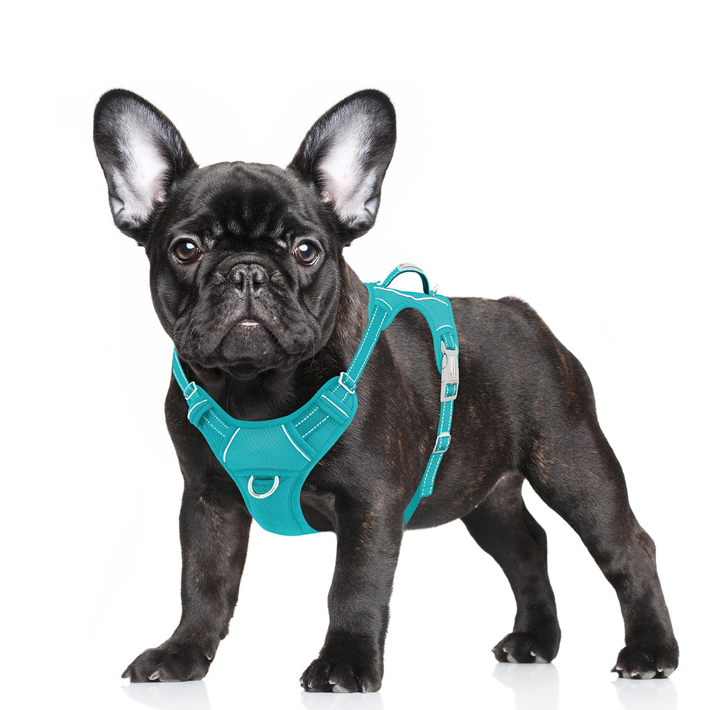 Air No Pull Dog Harness