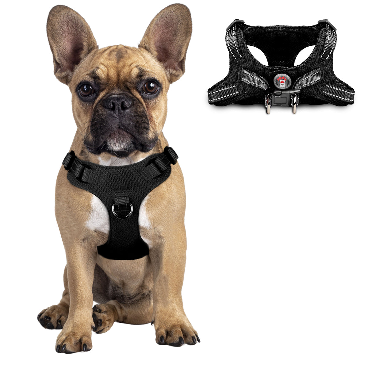 Step-in Mesh Dog Harness - Main Image