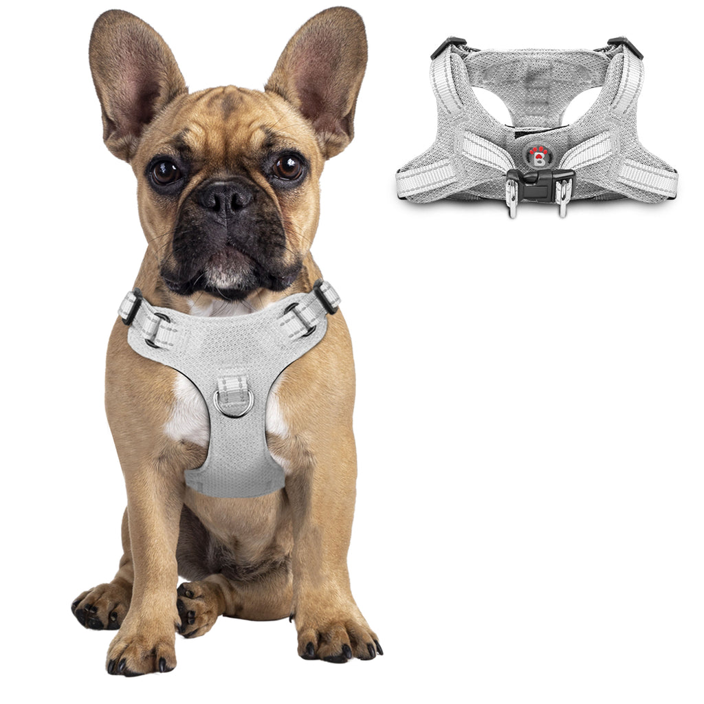 Step-in Mesh Dog Harness