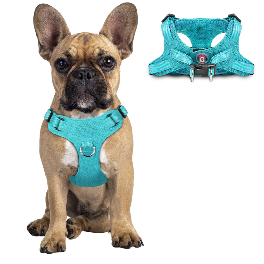 Step-in Mesh Dog Harness