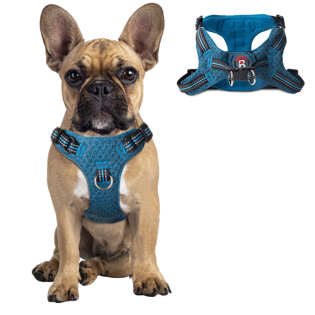 Step-in Mesh Dog Harness