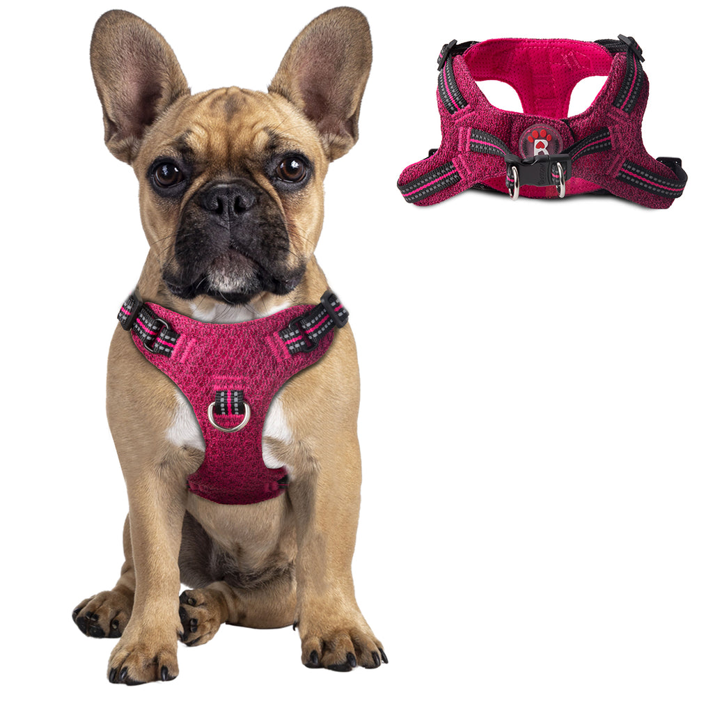 Step-in Mesh Dog Harness