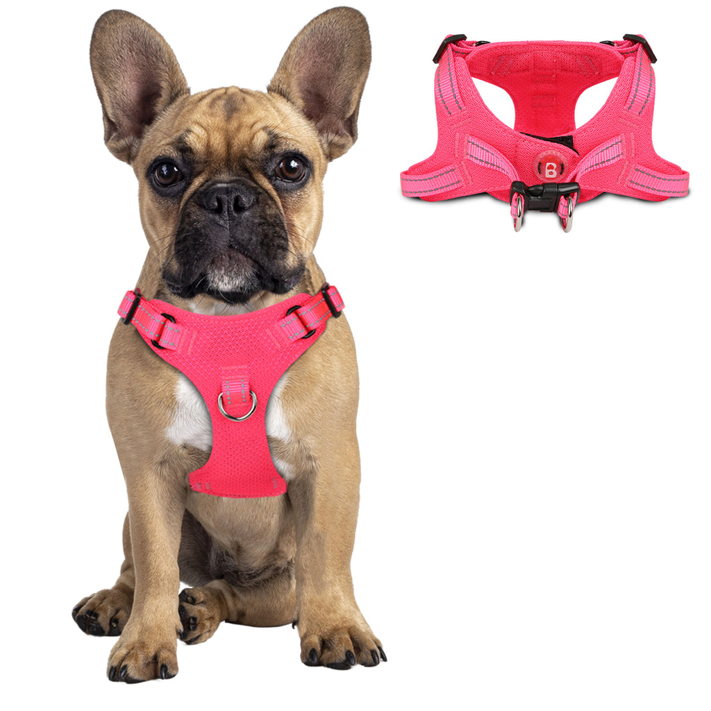 Step-in Mesh Dog Harness