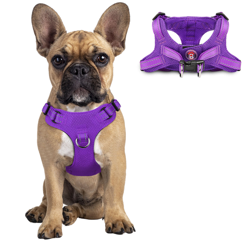 Step-in Mesh Dog Harness