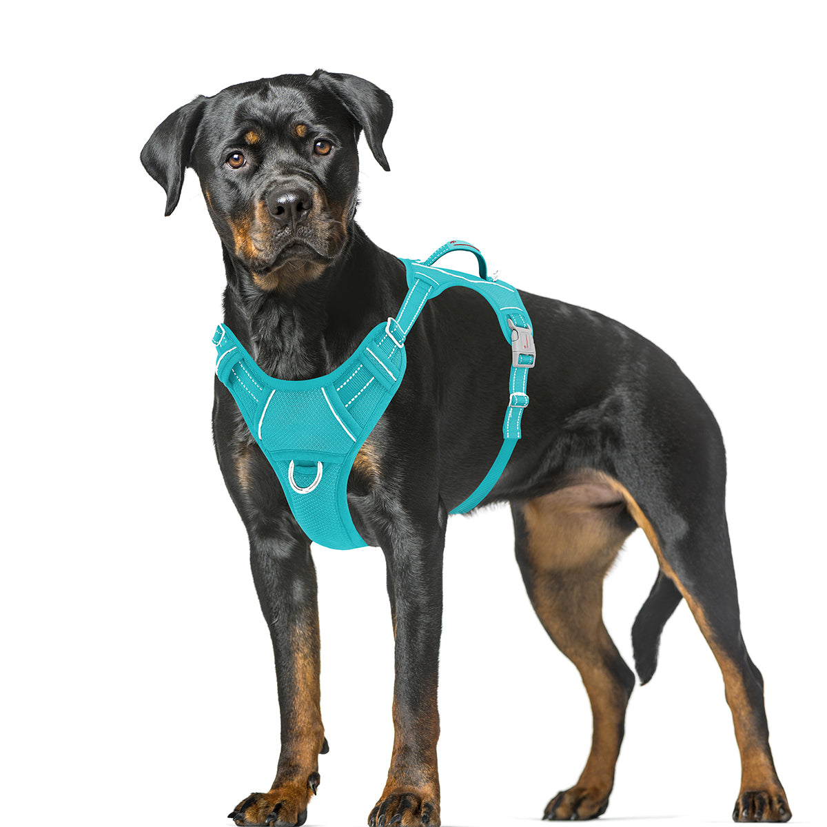 Air No Pull Dog Harness