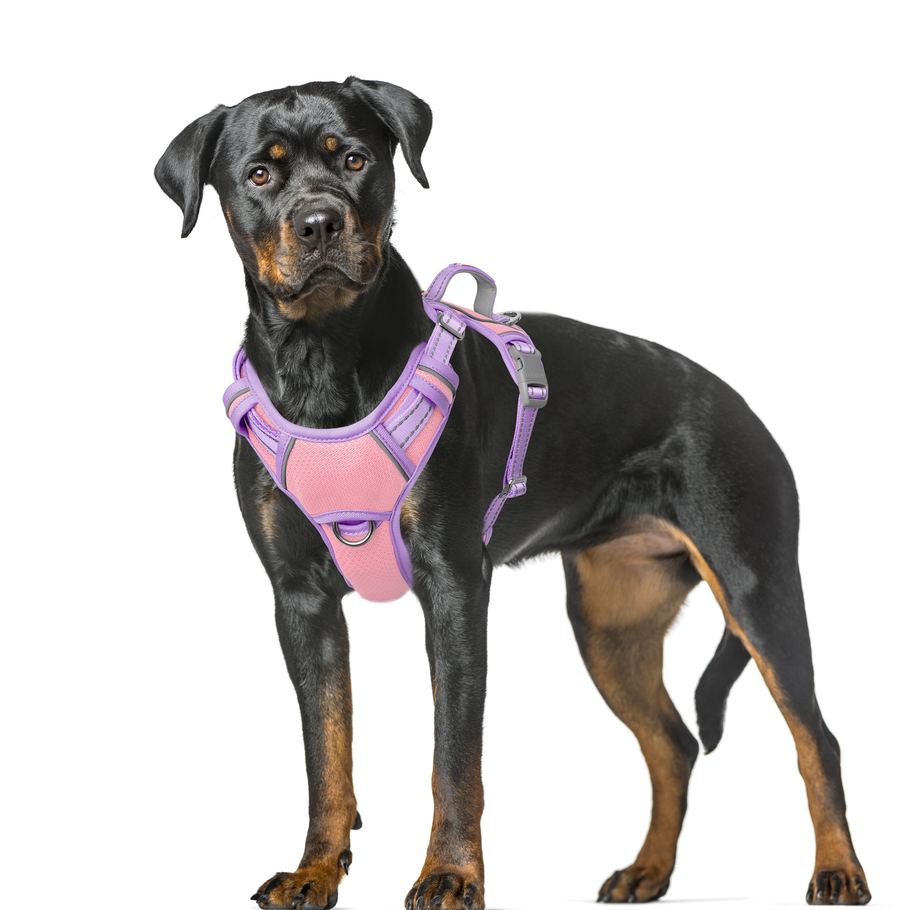 Air No Pull Dog Harness