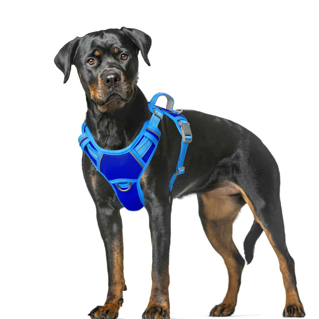 Air No Pull Dog Harness