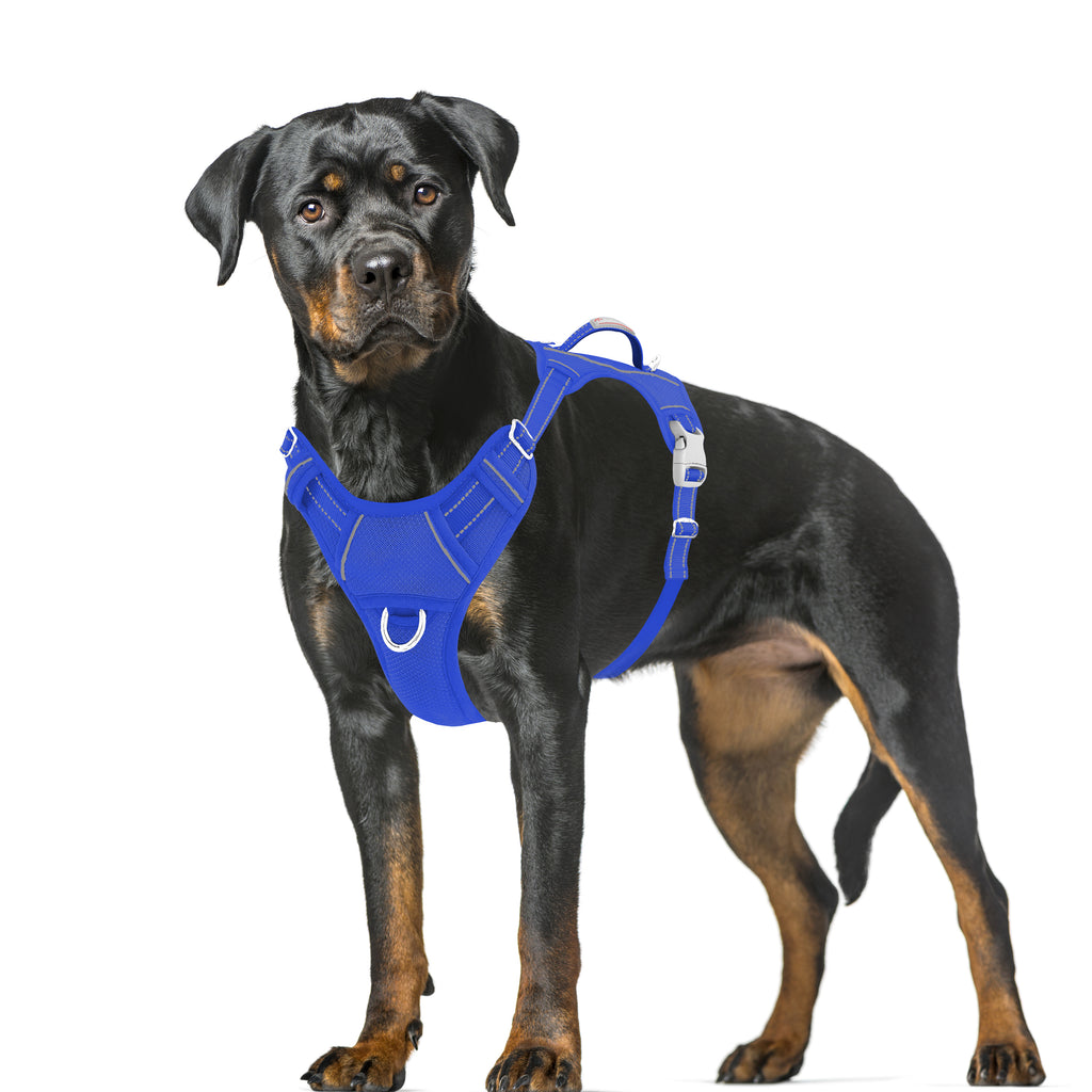 Air No Pull Dog Harness