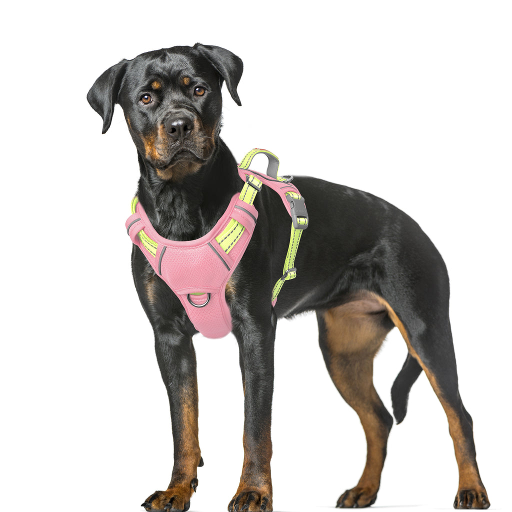 Air No Pull Dog Harness