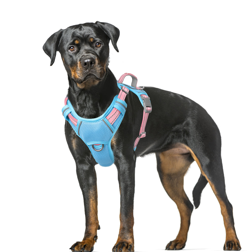 Air No Pull Dog Harness