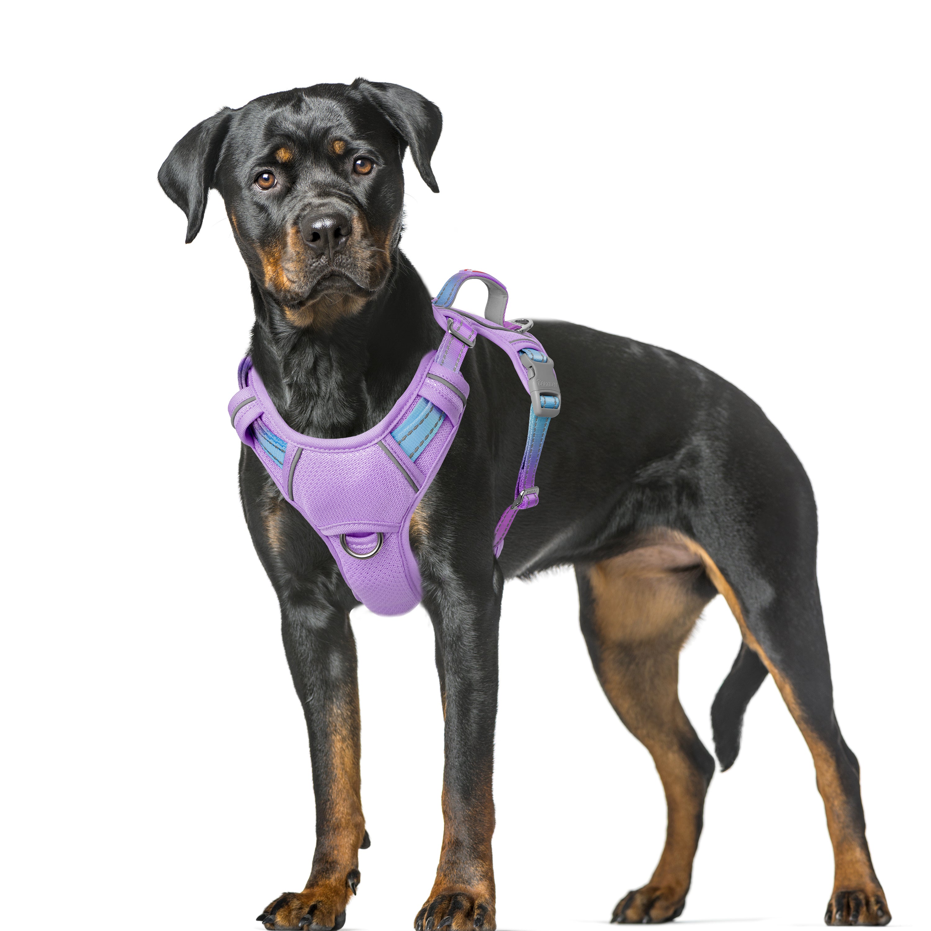 Air No Pull Dog Harness