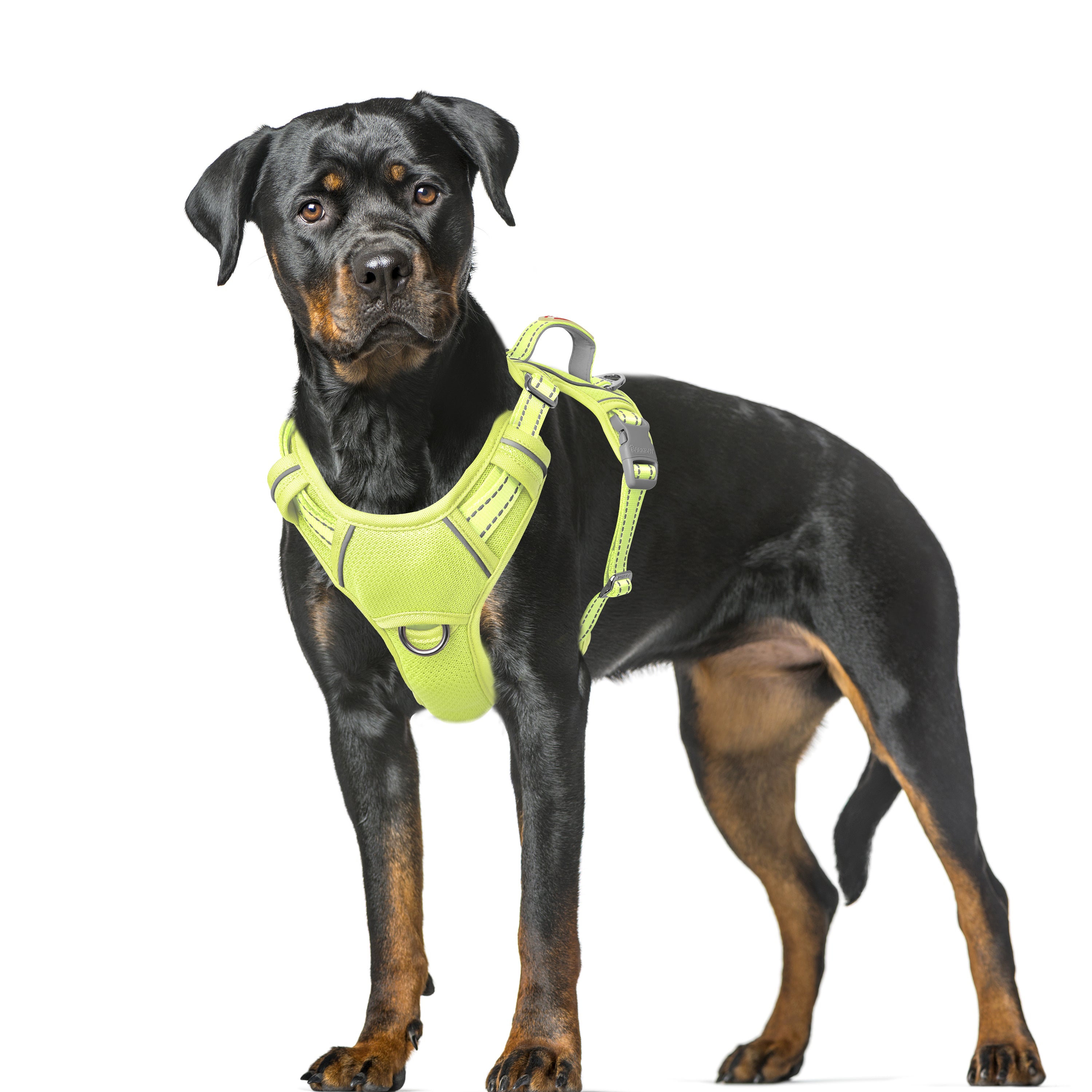 Air No Pull Dog Harness